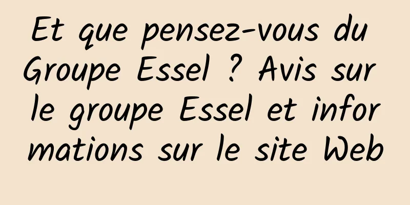 Et que pensez-vous du Groupe Essel ? Avis sur le groupe Essel et informations sur le site Web