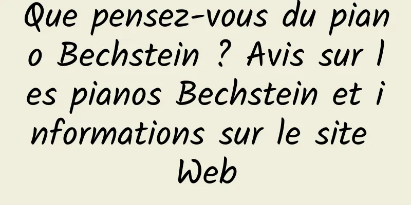 Que pensez-vous du piano Bechstein ? Avis sur les pianos Bechstein et informations sur le site Web
