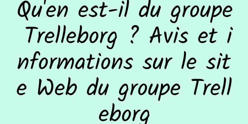 Qu'en est-il du groupe Trelleborg ? Avis et informations sur le site Web du groupe Trelleborg