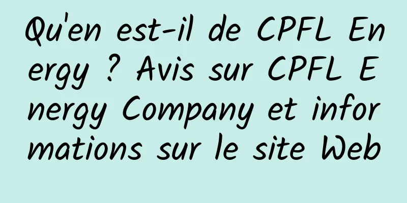 Qu'en est-il de CPFL Energy ? Avis sur CPFL Energy Company et informations sur le site Web
