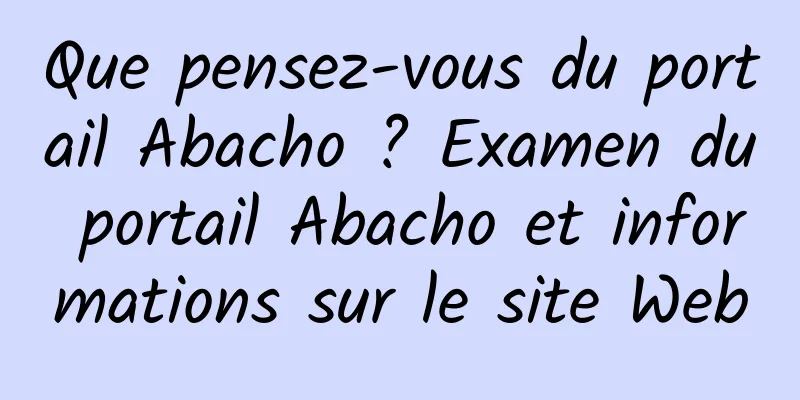 Que pensez-vous du portail Abacho ? Examen du portail Abacho et informations sur le site Web