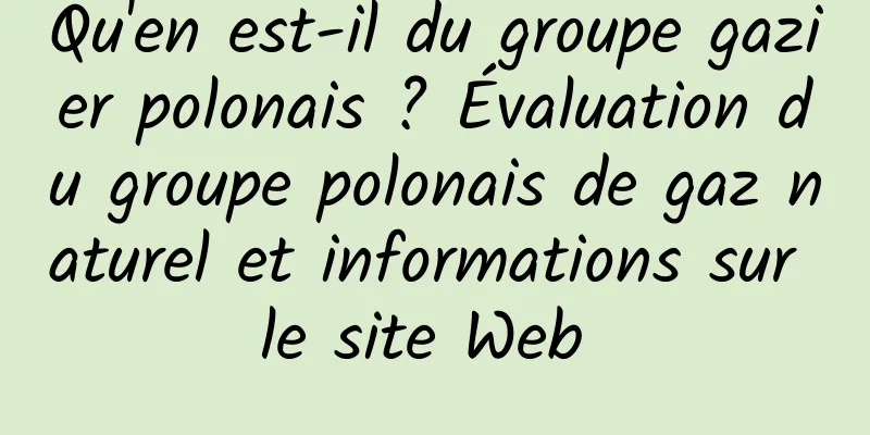 Qu'en est-il du groupe gazier polonais ? Évaluation du groupe polonais de gaz naturel et informations sur le site Web 
