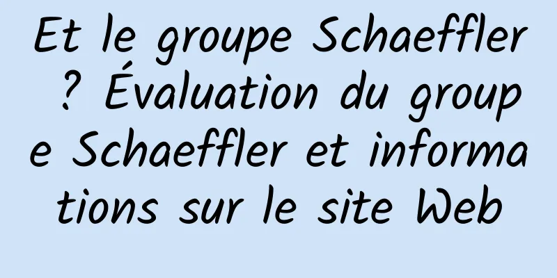 Et le groupe Schaeffler ? Évaluation du groupe Schaeffler et informations sur le site Web