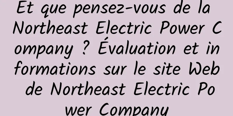 Et que pensez-vous de la Northeast Electric Power Company ? Évaluation et informations sur le site Web de Northeast Electric Power Company