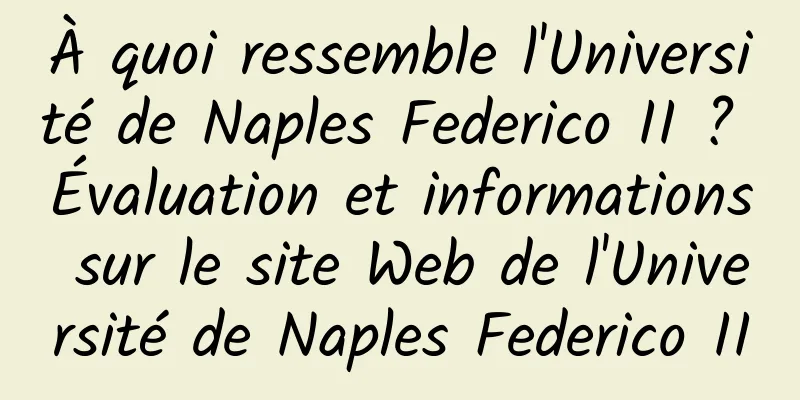 À quoi ressemble l'Université de Naples Federico II ? Évaluation et informations sur le site Web de l'Université de Naples Federico II