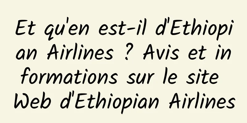 Et qu'en est-il d'Ethiopian Airlines ? Avis et informations sur le site Web d'Ethiopian Airlines