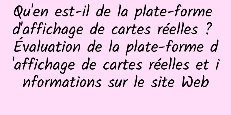 Qu'en est-il de la plate-forme d'affichage de cartes réelles ? Évaluation de la plate-forme d'affichage de cartes réelles et informations sur le site Web