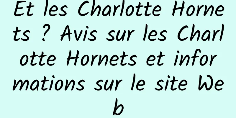 Et les Charlotte Hornets ? Avis sur les Charlotte Hornets et informations sur le site Web