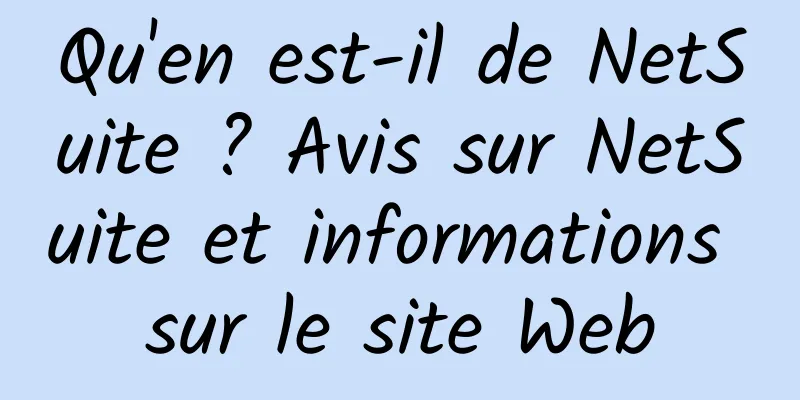 Qu'en est-il de NetSuite ? Avis sur NetSuite et informations sur le site Web