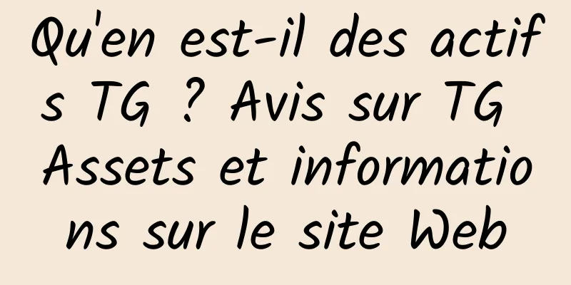 Qu'en est-il des actifs TG ? Avis sur TG Assets et informations sur le site Web