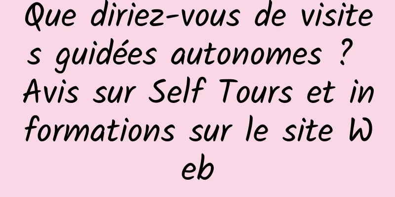 Que diriez-vous de visites guidées autonomes ? Avis sur Self Tours et informations sur le site Web