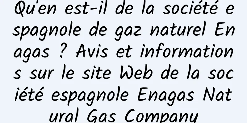 Qu'en est-il de la société espagnole de gaz naturel Enagas ? Avis et informations sur le site Web de la société espagnole Enagas Natural Gas Company
