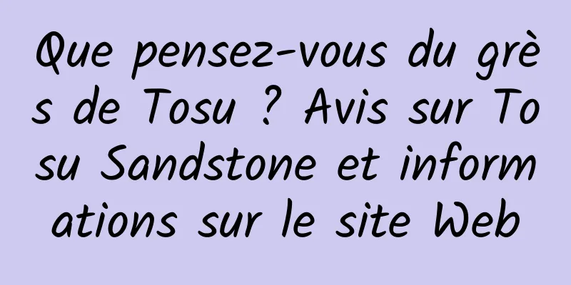 Que pensez-vous du grès de Tosu ? Avis sur Tosu Sandstone et informations sur le site Web