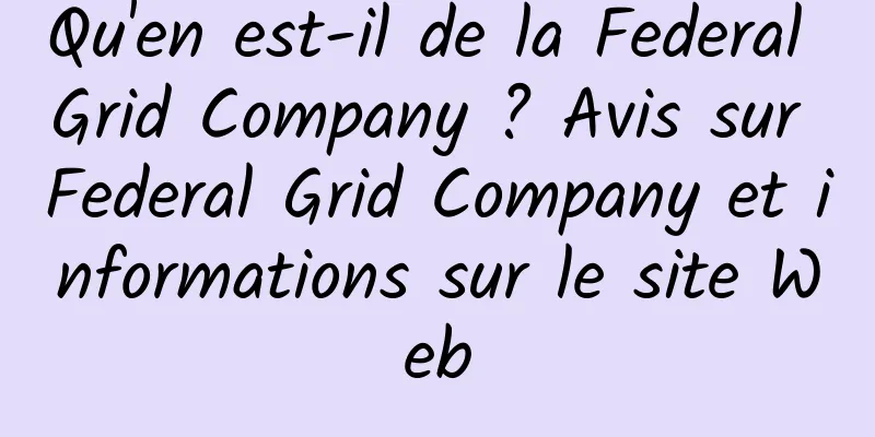 Qu'en est-il de la Federal Grid Company ? Avis sur Federal Grid Company et informations sur le site Web