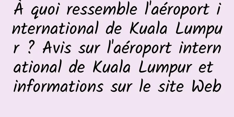 À quoi ressemble l'aéroport international de Kuala Lumpur ? Avis sur l'aéroport international de Kuala Lumpur et informations sur le site Web