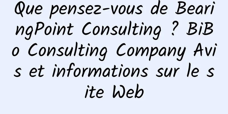Que pensez-vous de BearingPoint Consulting ? BiBo Consulting Company Avis et informations sur le site Web