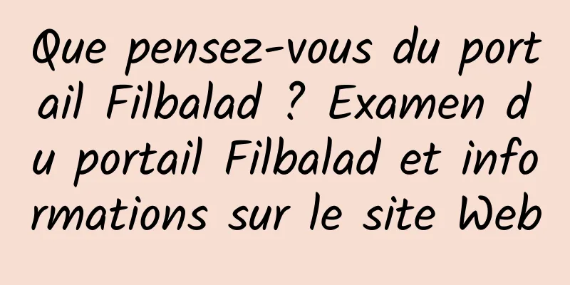 Que pensez-vous du portail Filbalad ? Examen du portail Filbalad et informations sur le site Web