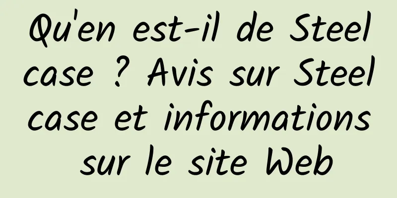 Qu'en est-il de Steelcase ? Avis sur Steelcase et informations sur le site Web