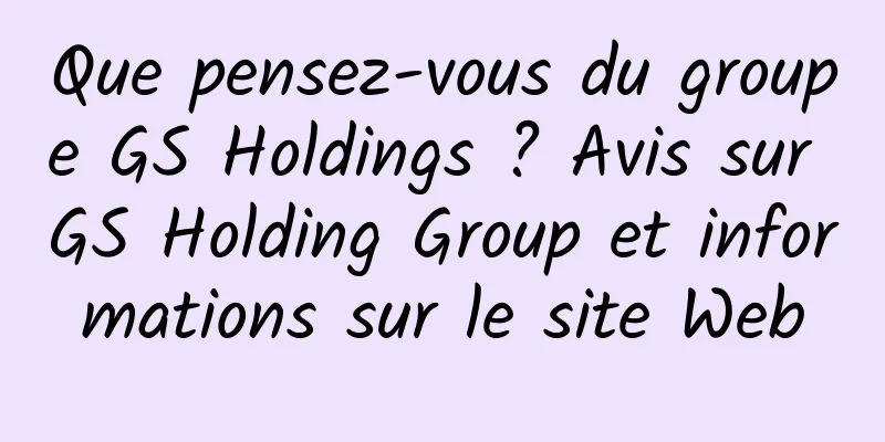 Que pensez-vous du groupe GS Holdings ? Avis sur GS Holding Group et informations sur le site Web