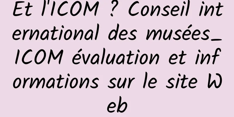 Et l'ICOM ? Conseil international des musées_ICOM évaluation et informations sur le site Web