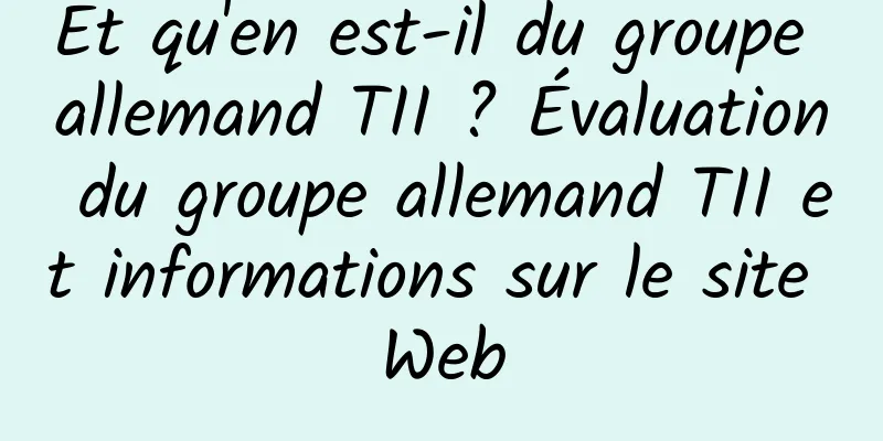 Et qu'en est-il du groupe allemand TII ? Évaluation du groupe allemand TII et informations sur le site Web