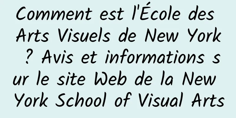 Comment est l'École des Arts Visuels de New York ? Avis et informations sur le site Web de la New York School of Visual Arts