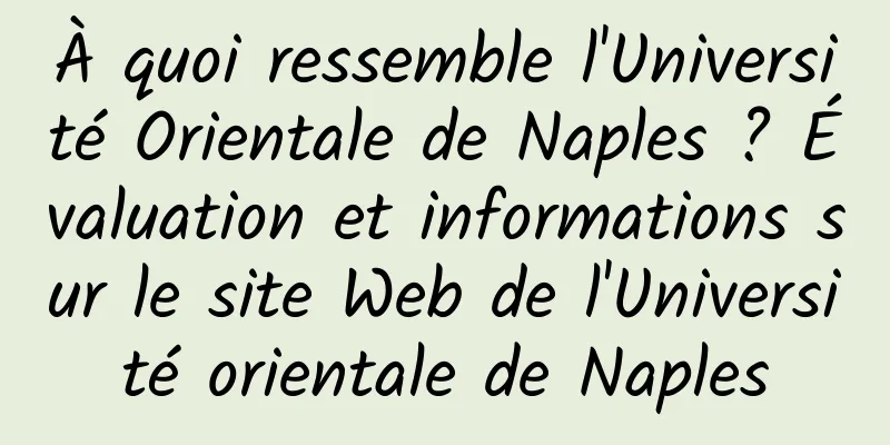 À quoi ressemble l'Université Orientale de Naples ? Évaluation et informations sur le site Web de l'Université orientale de Naples