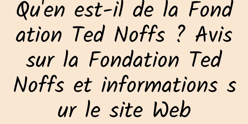 Qu'en est-il de la Fondation Ted Noffs ? Avis sur la Fondation Ted Noffs et informations sur le site Web