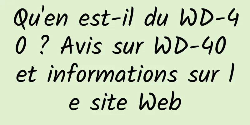 Qu'en est-il du WD-40 ? Avis sur WD-40 et informations sur le site Web