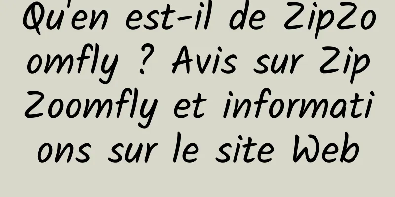 Qu'en est-il de ZipZoomfly ? Avis sur ZipZoomfly et informations sur le site Web