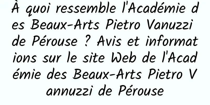 À quoi ressemble l'Académie des Beaux-Arts Pietro Vanuzzi de Pérouse ? Avis et informations sur le site Web de l'Académie des Beaux-Arts Pietro Vannuzzi de Pérouse