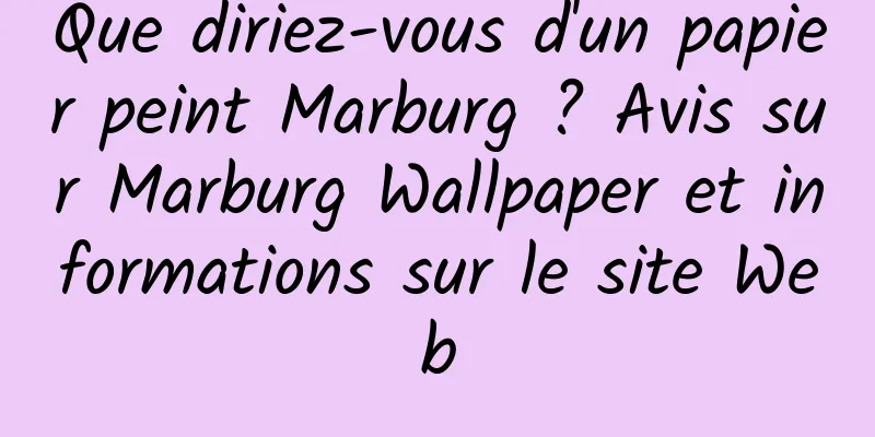 Que diriez-vous d'un papier peint Marburg ? Avis sur Marburg Wallpaper et informations sur le site Web