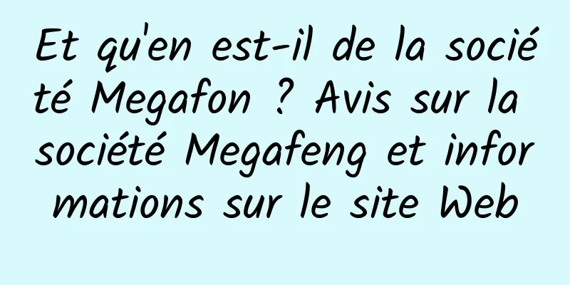 Et qu'en est-il de la société Megafon ? Avis sur la société Megafeng et informations sur le site Web