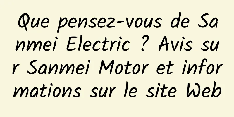 Que pensez-vous de Sanmei Electric ? Avis sur Sanmei Motor et informations sur le site Web