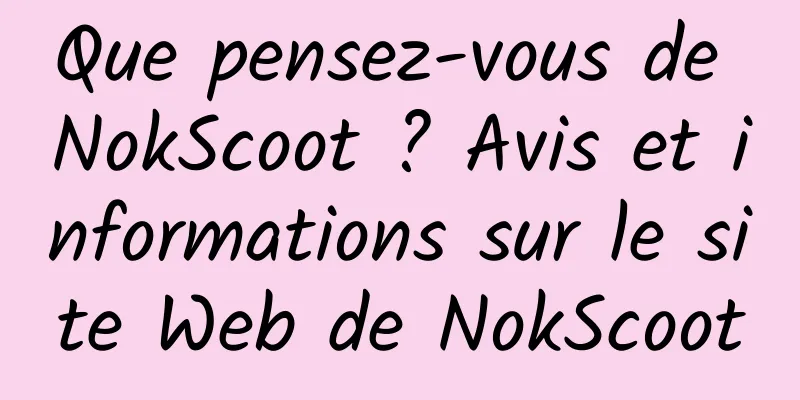 Que pensez-vous de NokScoot ? Avis et informations sur le site Web de NokScoot