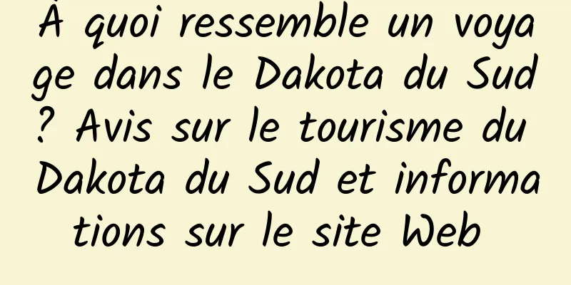 À quoi ressemble un voyage dans le Dakota du Sud ? Avis sur le tourisme du Dakota du Sud et informations sur le site Web 