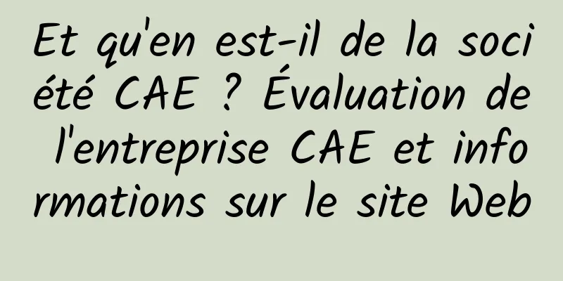 Et qu'en est-il de la société CAE ? Évaluation de l'entreprise CAE et informations sur le site Web