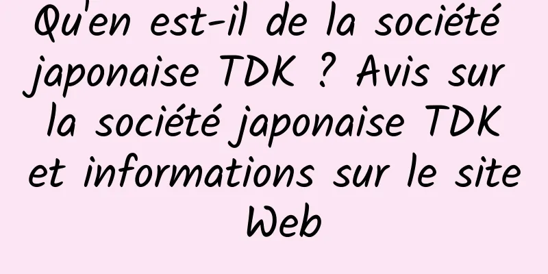 Qu'en est-il de la société japonaise TDK ? Avis sur la société japonaise TDK et informations sur le site Web