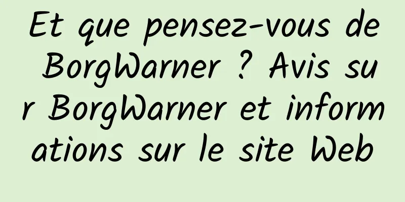 Et que pensez-vous de BorgWarner ? Avis sur BorgWarner et informations sur le site Web