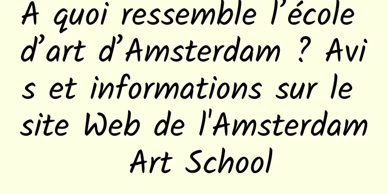À quoi ressemble l’école d’art d’Amsterdam ? Avis et informations sur le site Web de l'Amsterdam Art School