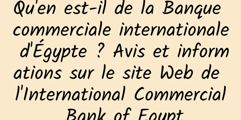 Qu'en est-il de la Banque commerciale internationale d'Égypte ? Avis et informations sur le site Web de l'International Commercial Bank of Egypt