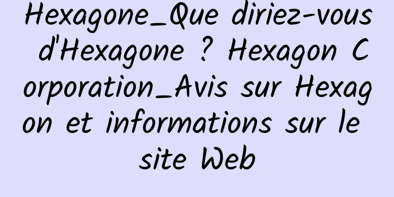 Hexagone_Que diriez-vous d'Hexagone ? Hexagon Corporation_Avis sur Hexagon et informations sur le site Web