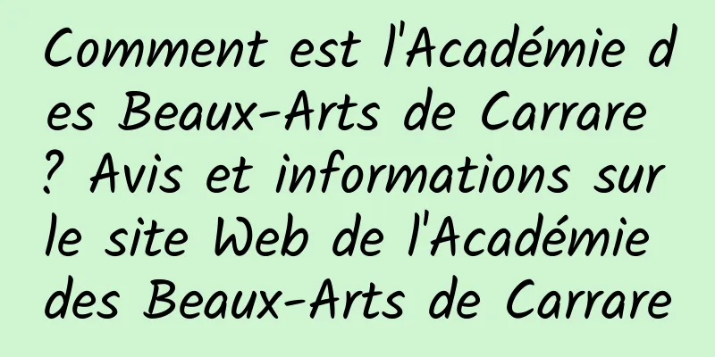 Comment est l'Académie des Beaux-Arts de Carrare ? Avis et informations sur le site Web de l'Académie des Beaux-Arts de Carrare