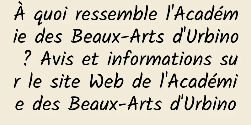 À quoi ressemble l'Académie des Beaux-Arts d'Urbino ? Avis et informations sur le site Web de l'Académie des Beaux-Arts d'Urbino