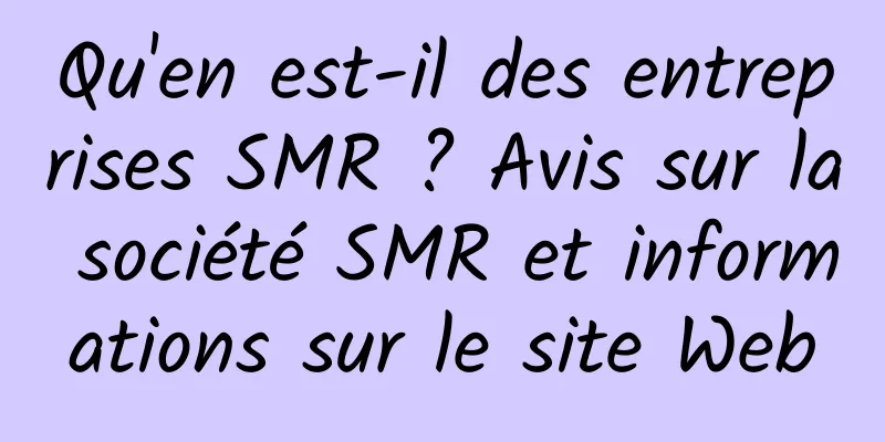 Qu'en est-il des entreprises SMR ? Avis sur la société SMR et informations sur le site Web