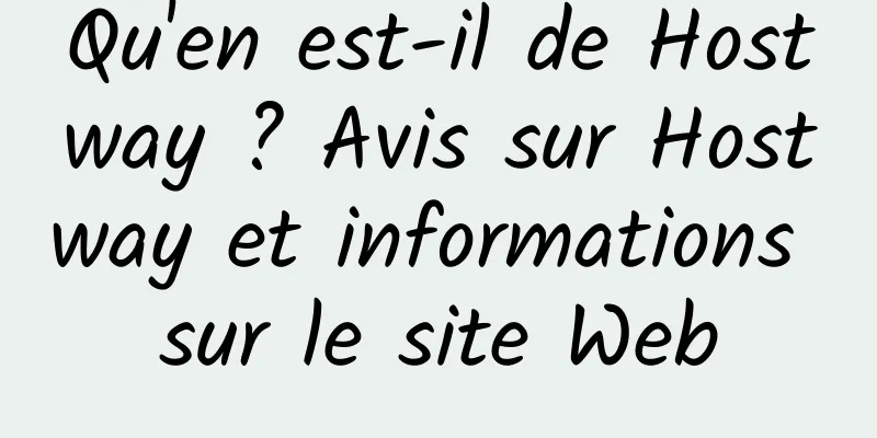 Qu'en est-il de Hostway ? Avis sur Hostway et informations sur le site Web