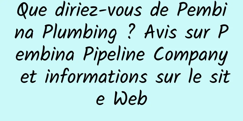 Que diriez-vous de Pembina Plumbing ? Avis sur Pembina Pipeline Company et informations sur le site Web