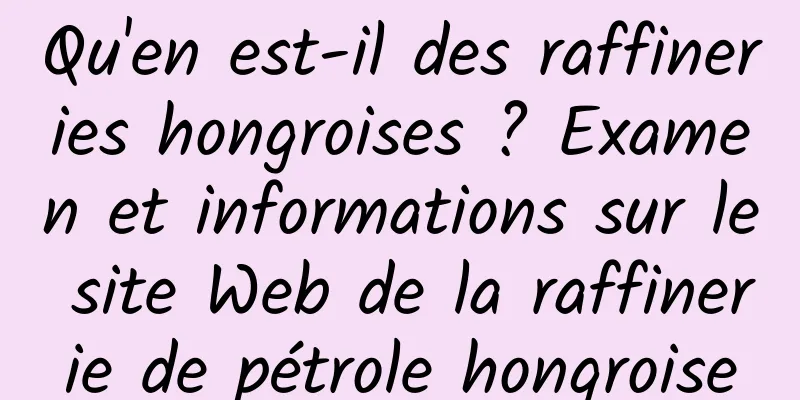 Qu'en est-il des raffineries hongroises ? Examen et informations sur le site Web de la raffinerie de pétrole hongroise