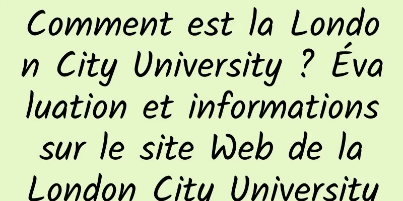 Comment est la London City University ? Évaluation et informations sur le site Web de la London City University