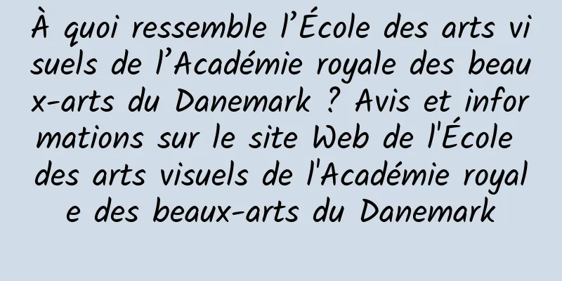 À quoi ressemble l’École des arts visuels de l’Académie royale des beaux-arts du Danemark ? Avis et informations sur le site Web de l'École des arts visuels de l'Académie royale des beaux-arts du Danemark